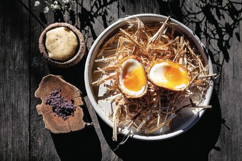 sage restaurant scotch egg with truffle