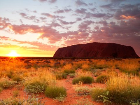 Uluru at sunrise