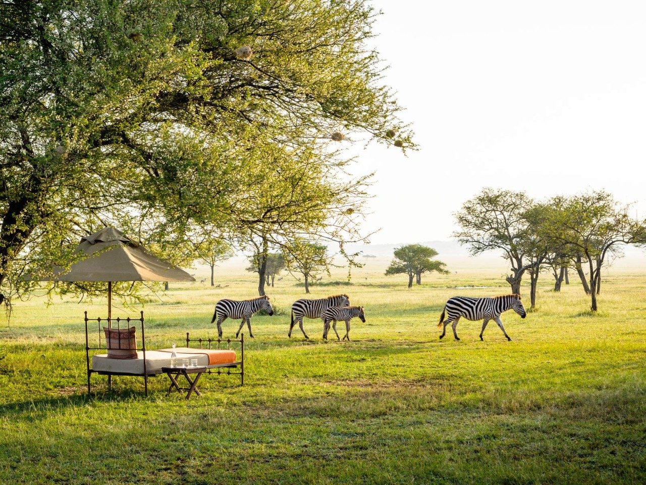 singita-tented-luxury-lodge-1.jpg