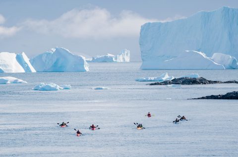 Kayaking in Antarctica