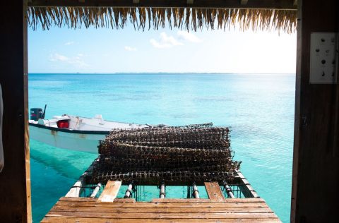 A pearl farm in the Tuamotu Islands