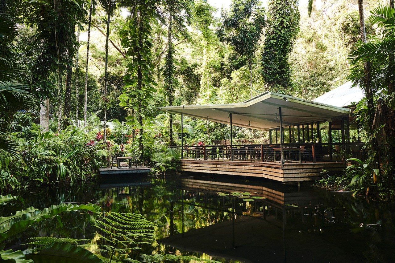 Simon Shiff Photography Daintree Ecolodge Julaymba bush