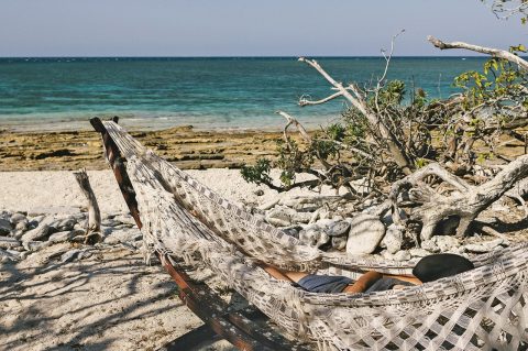 Hammock, Wilson Island, Queensland