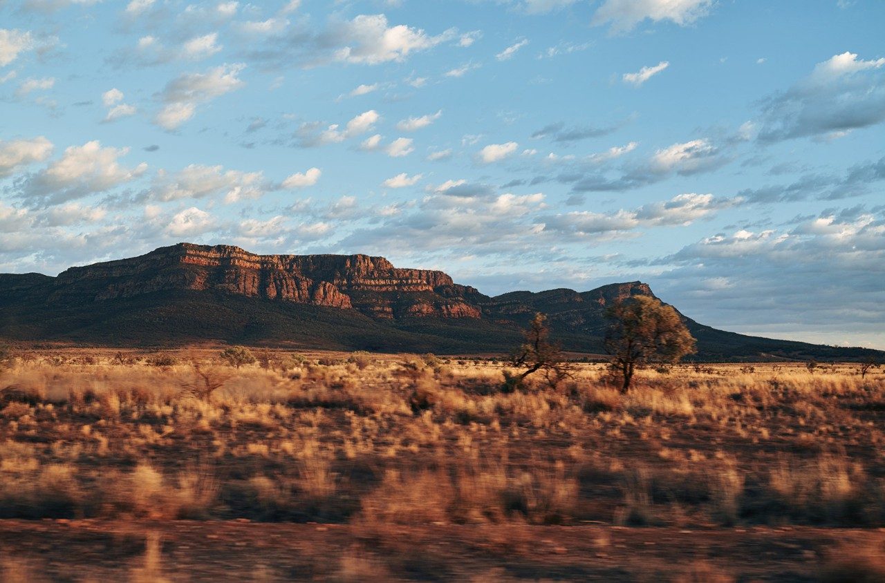 Flinders Ranges, SA