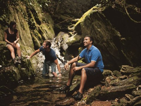 Kuku Yalanji Cultural Habitat Tour