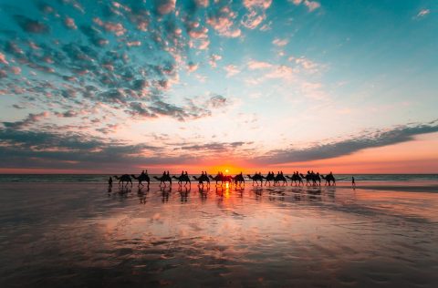 Came ride at Cable Beach