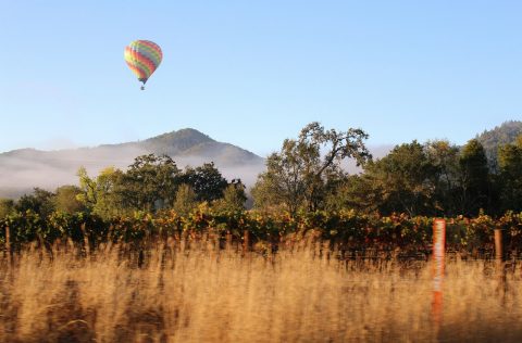 Napa Valley, USA 