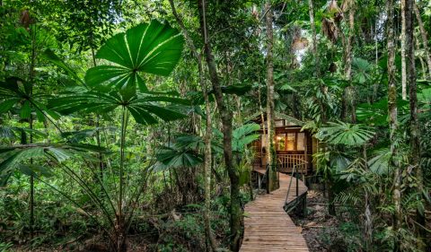 Daintree wilderness lodge cabin exterior, QLD