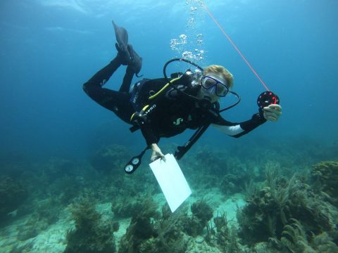 GVI underwater data collection