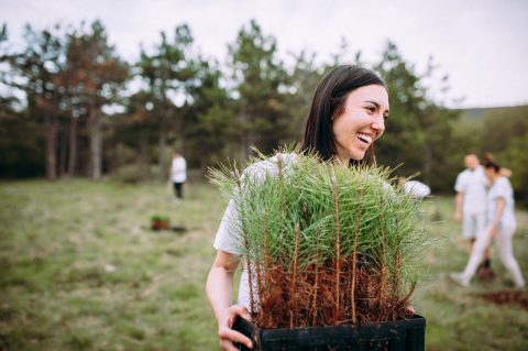 Community environment planting