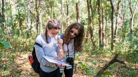 GVI research data collection 