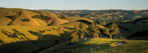 picture of a dawn landscape in australia