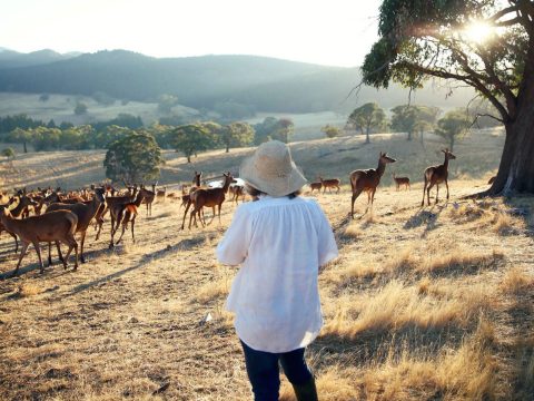 Rural Woman of the Year Sophie Hansen Blogs to Success