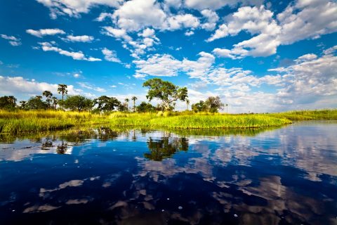 Okavango Delta, Botswana