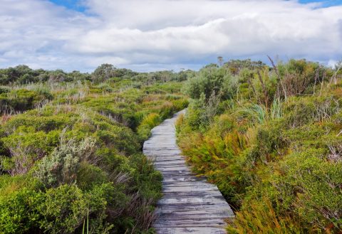 Wilsons Promontory