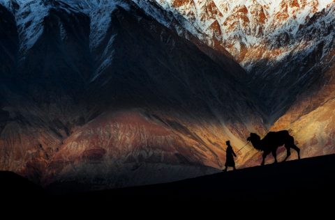 IP Travel Photography photo of a person and a camel in the mountains