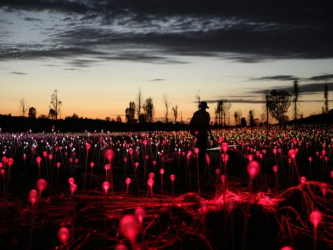 Field of Light