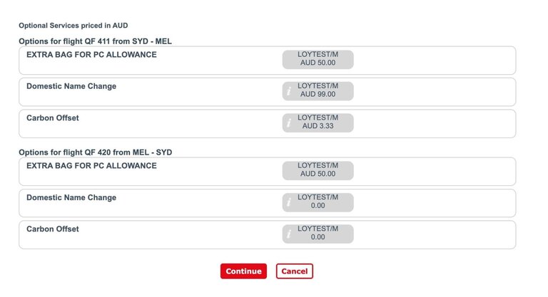 Optional services screen capture showing the additional baggage in piece