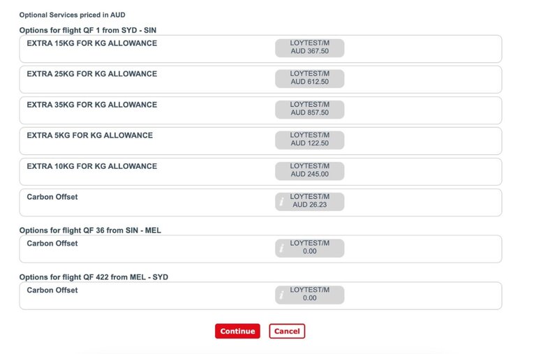 Optional services screen capture showing the additional baggage in weight