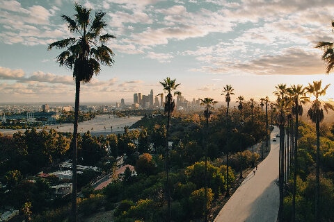 Palm tree-lined street overlooking Los Angeles at sunset