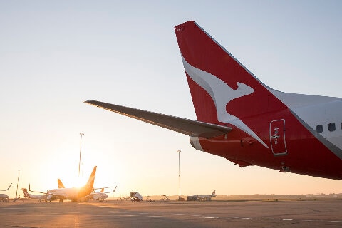 Qantas dreamliner tail