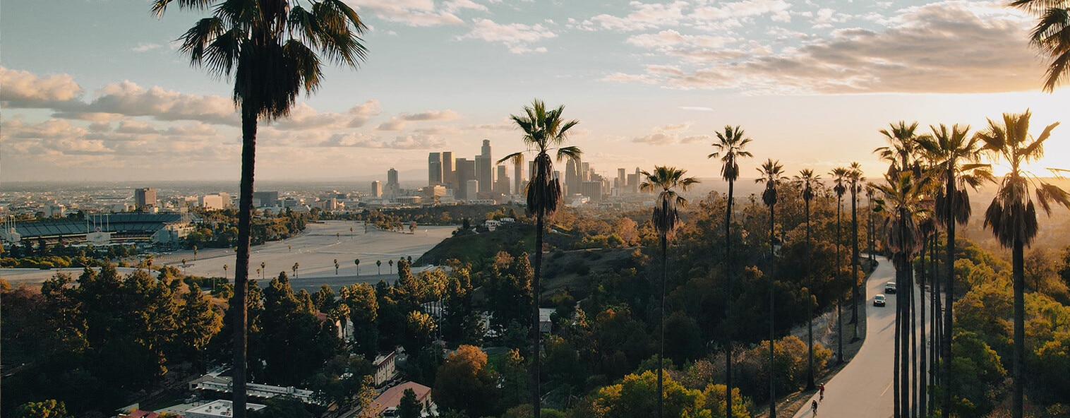 Palm tree-lined street overlooking Los Angeles at sunset