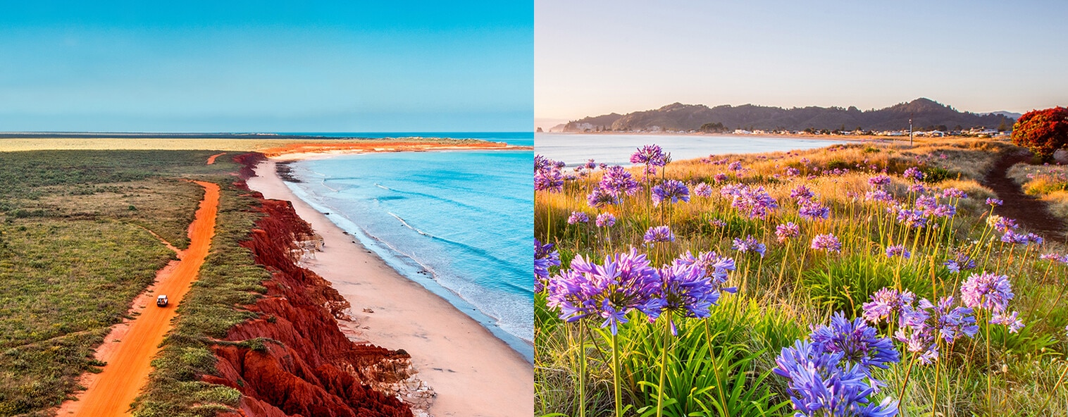 Aerial view of James Price Point, Broome, Western Australia; and Agapanthus at sunrise from the dunes at Whangamata on New Zealand's North Island.