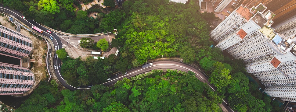 Aerial view of curve road in forest against buildings in Hong Kong