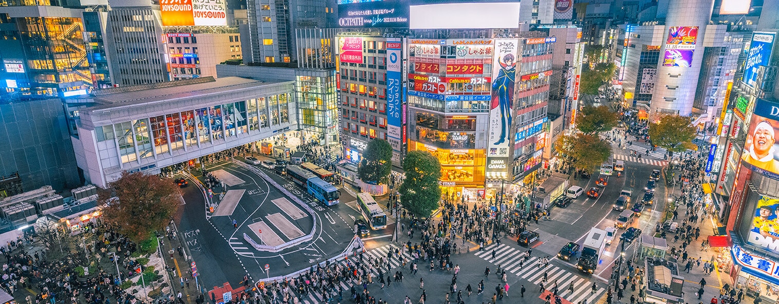 Shibuya pedestrian crossing and city lights, Tokyo, Japan