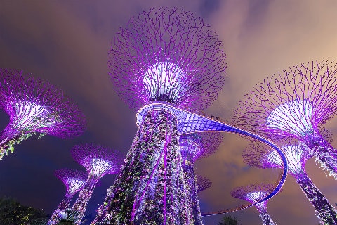 Gardens by the Bay