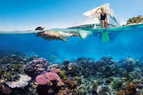 Snorkeling at the reef