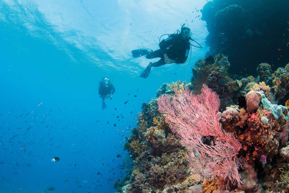 Diving on the Great Barrier Reef, Hamilton Island