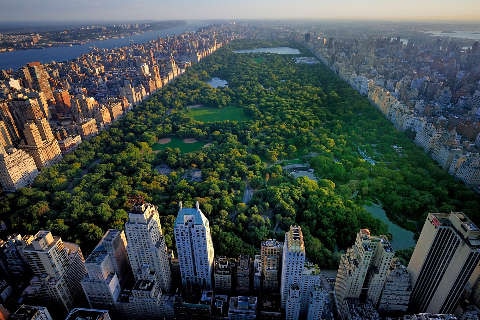 Central park new york