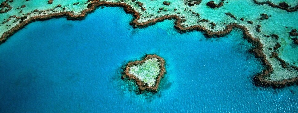 great barrier reef