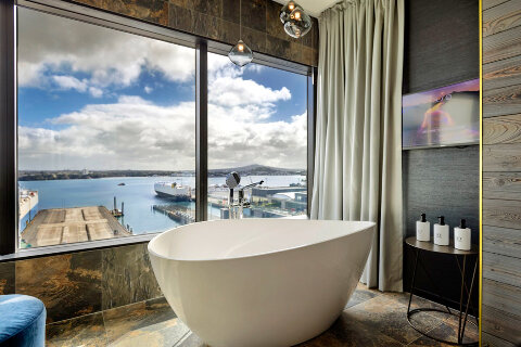 Bathroom and view from inside S/O Auckland