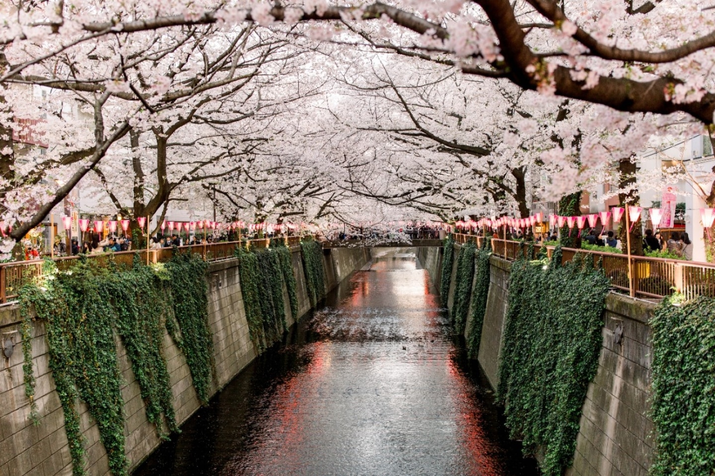 5 of the Best Things to Do in Tokyo Right Now | Travel Insider