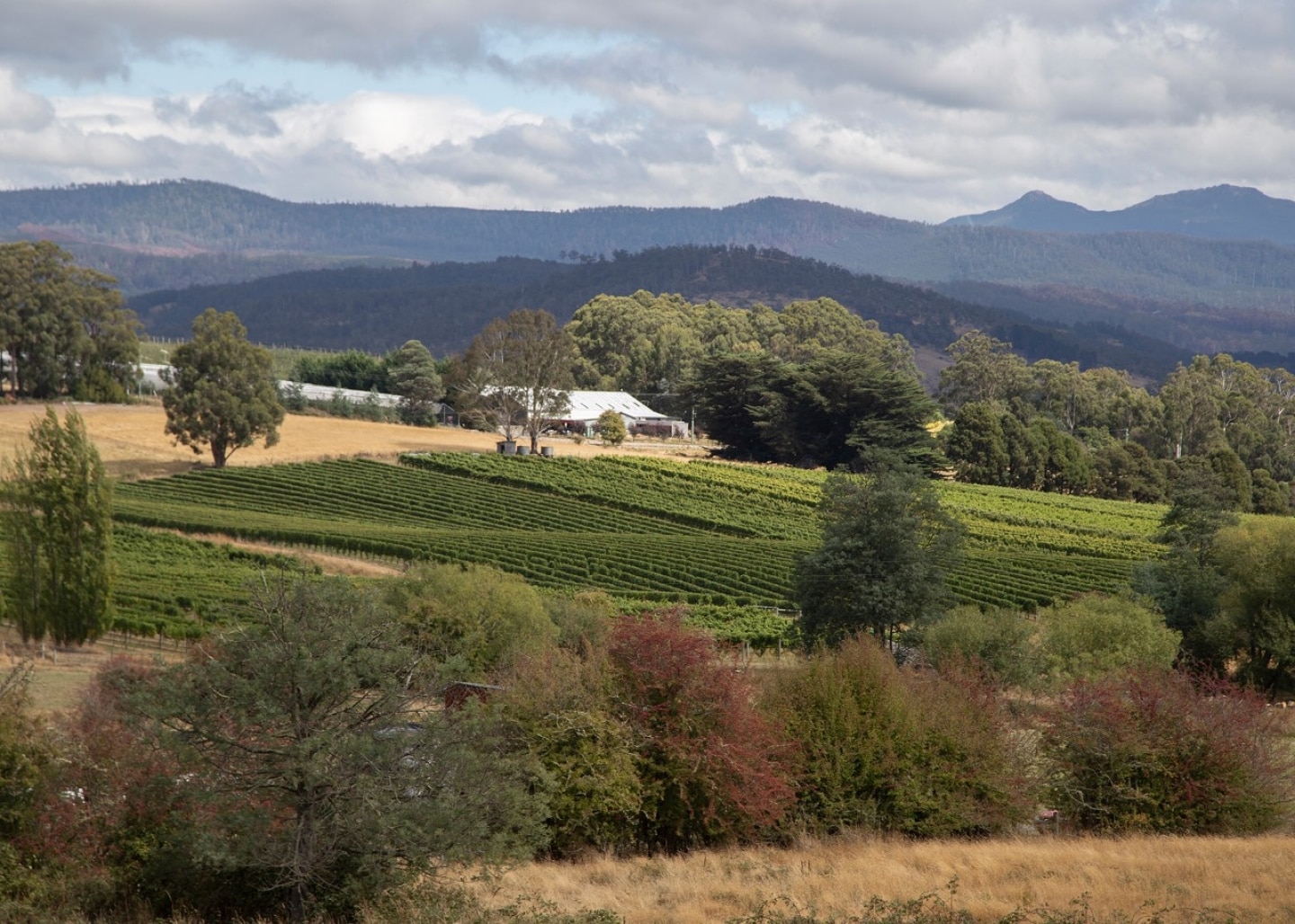 Why Tasmania’s Huon Valley Is The Ultimate Gourmet Road Trip | Travel ...